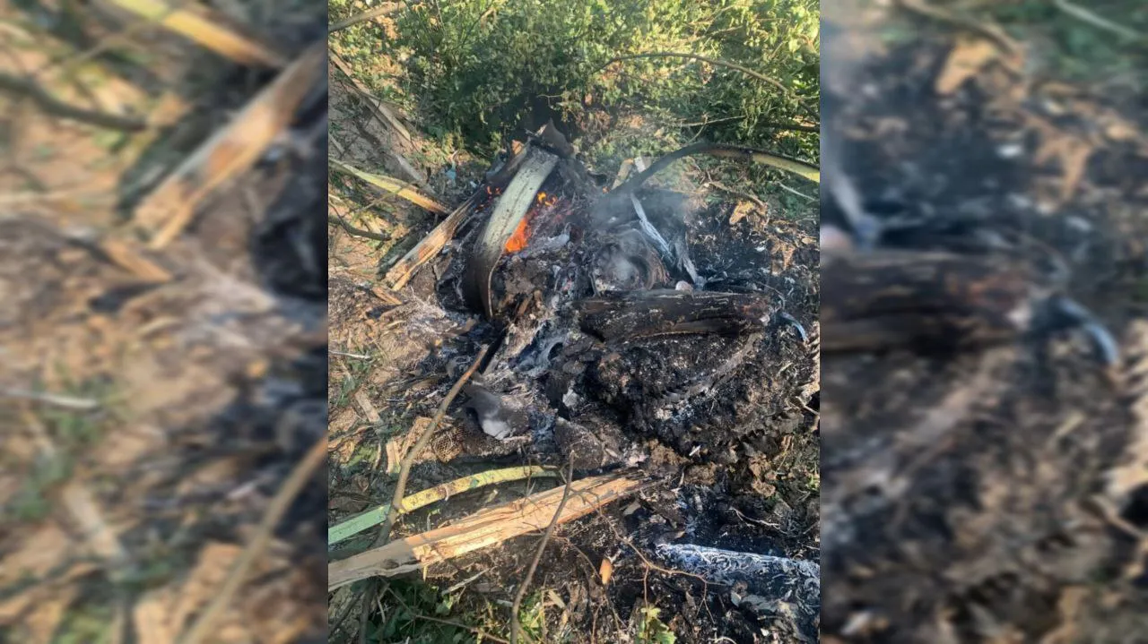 СМИ сообщили, что найдены чёрные ящики упавшего в Подмосковье Sukhoi Superjet 100