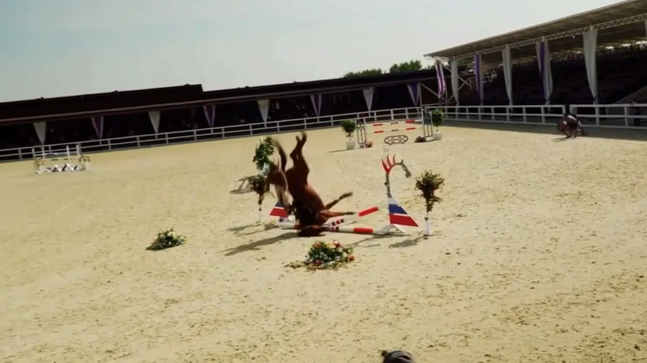 Режиссёр Данилов заявил, что упавший на съёмках конь был 