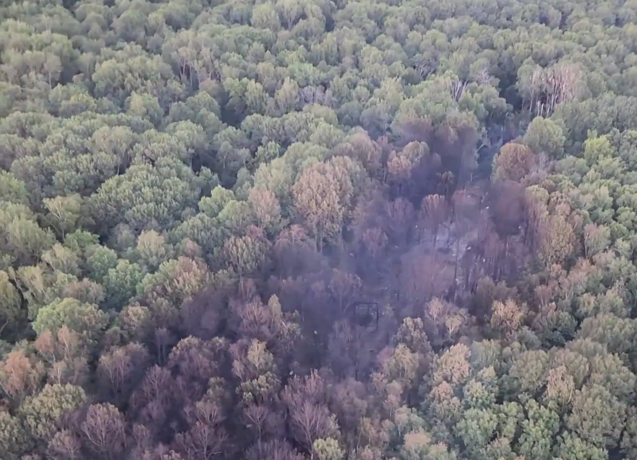 Обожжённые деревья и голая земля: Место крушения Sukhoi Superjet 100 сняли с высоты птичьего полёта