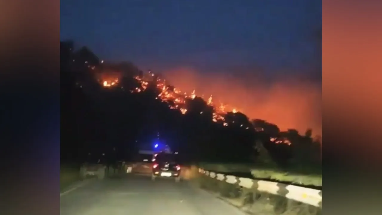 Более 500 человек эвакуировали из шести баз отдыха на Кубани из-за пожаров