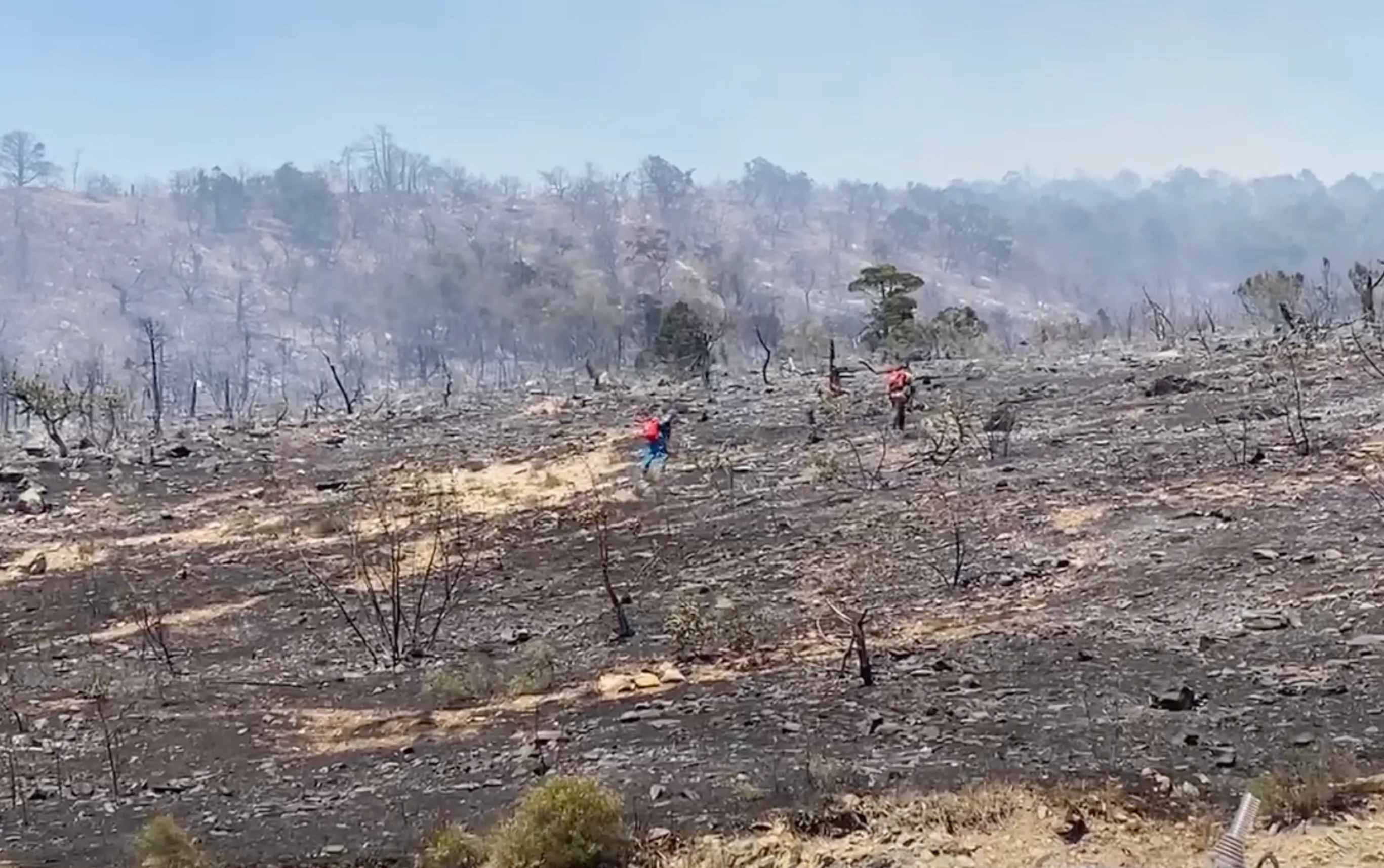В Новороссийске ввели режим ЧС из-за лесного пожара на 22 гектара
