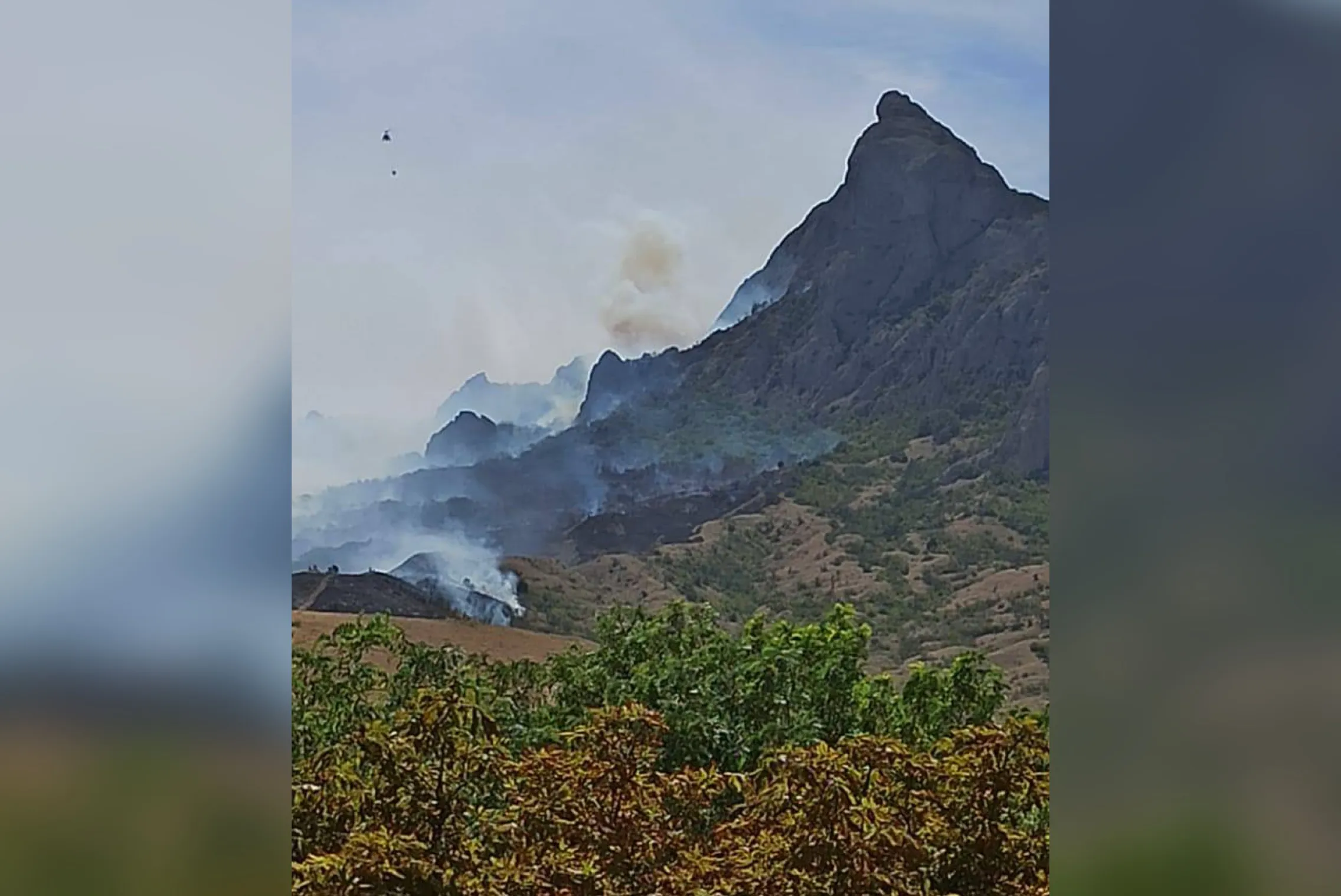 Разрушительное пламя пожирает Карадагский заповедник в Крыму