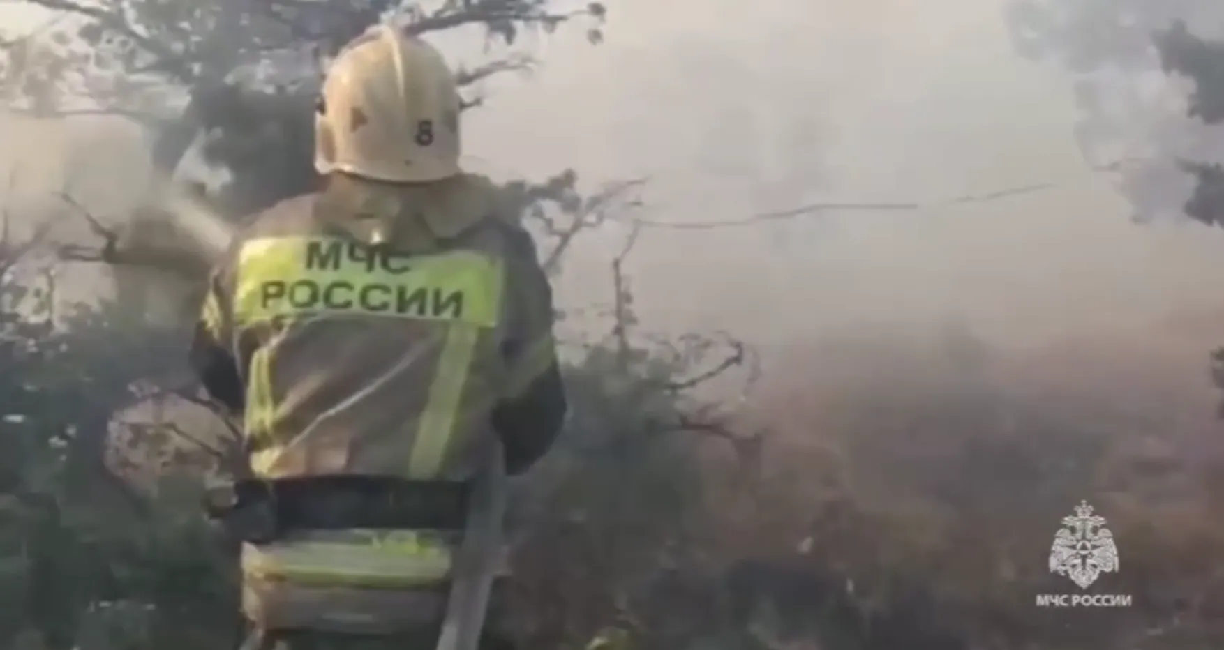 Лесной пожар в заказнике под Новороссийском потушили
