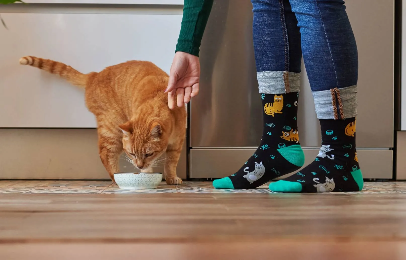 В пачках популярного корма для кошек с маркетплейса нашли опасный яд