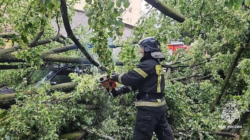В Петербурге и Ленобласти два человека погибли при урагане, ещё шесть пострадали