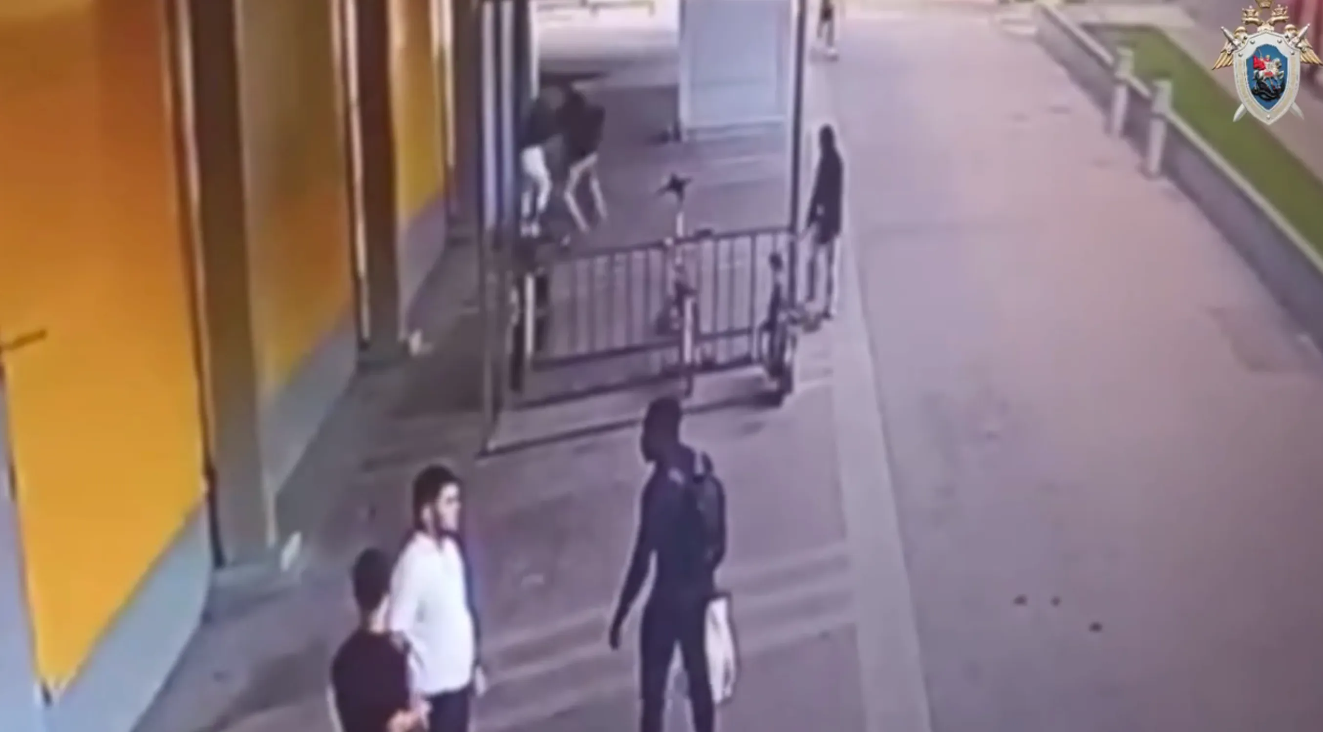 Камера сняла, как муж кромсал девушку у ТЦ в Москве на глазах у маленького ребёнка