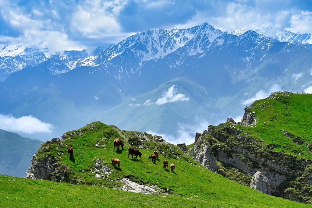 Группа туристов из Подмосковья с 10 детьми пропала в горах Северной Осетии