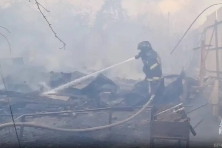 Пять пожарных получили тепловой удар при тушении возгорания в Подмосковье в +34