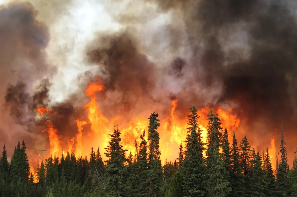 Огонь с газораспределителя перешёл на лес под Алуштой