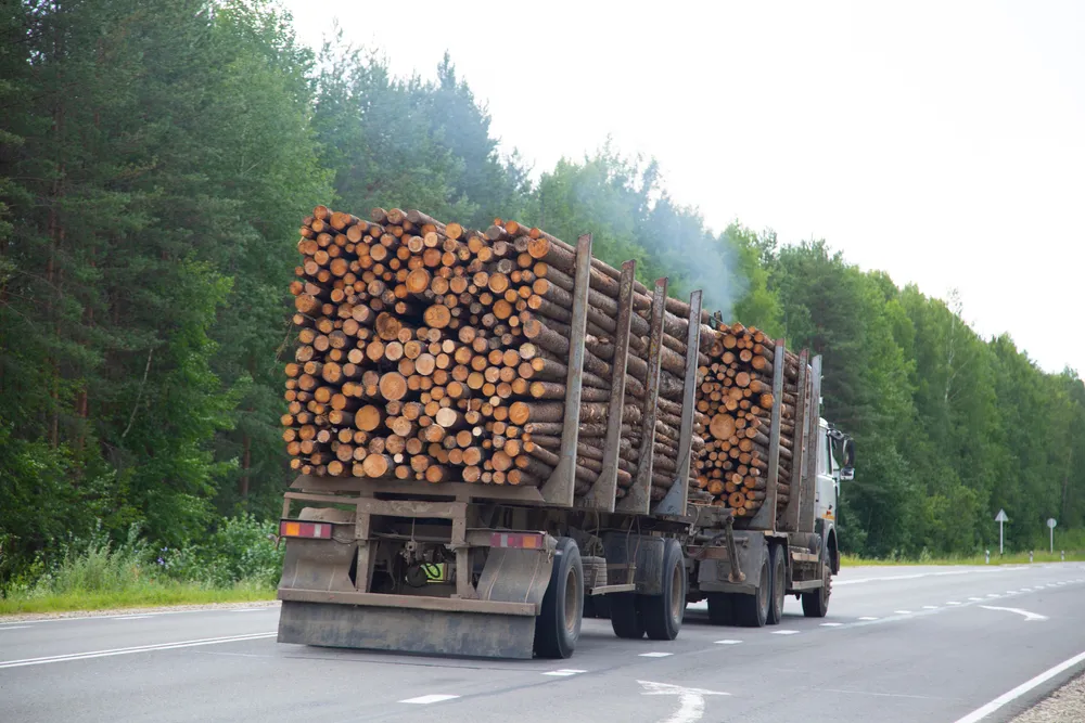 Цены на древесину в Финляндии улетели в космос из-за антироссийских санкций