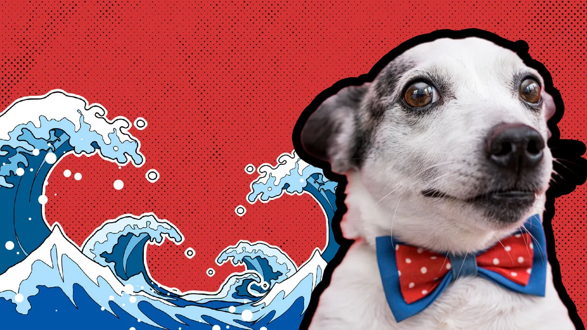 Не берите их на море: 6 пород собак, которые не умеют плавать 