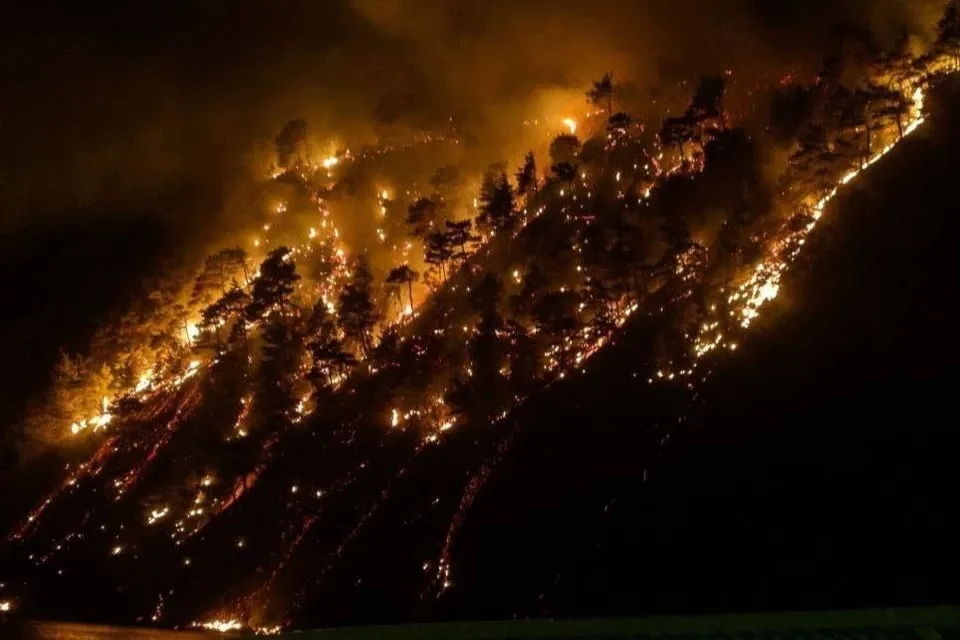 Пожар в бухте Инал на Кубани полностью потушен