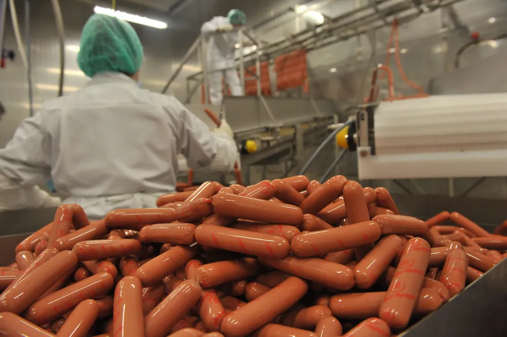От мяса до творога: В России стали чаще использовать опасные добавки в продуктах