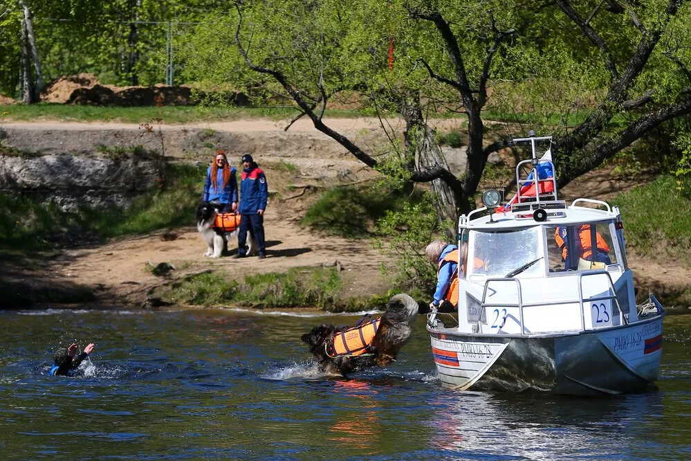 За лето на российских водоёмах утонуло свыше тысячи человек