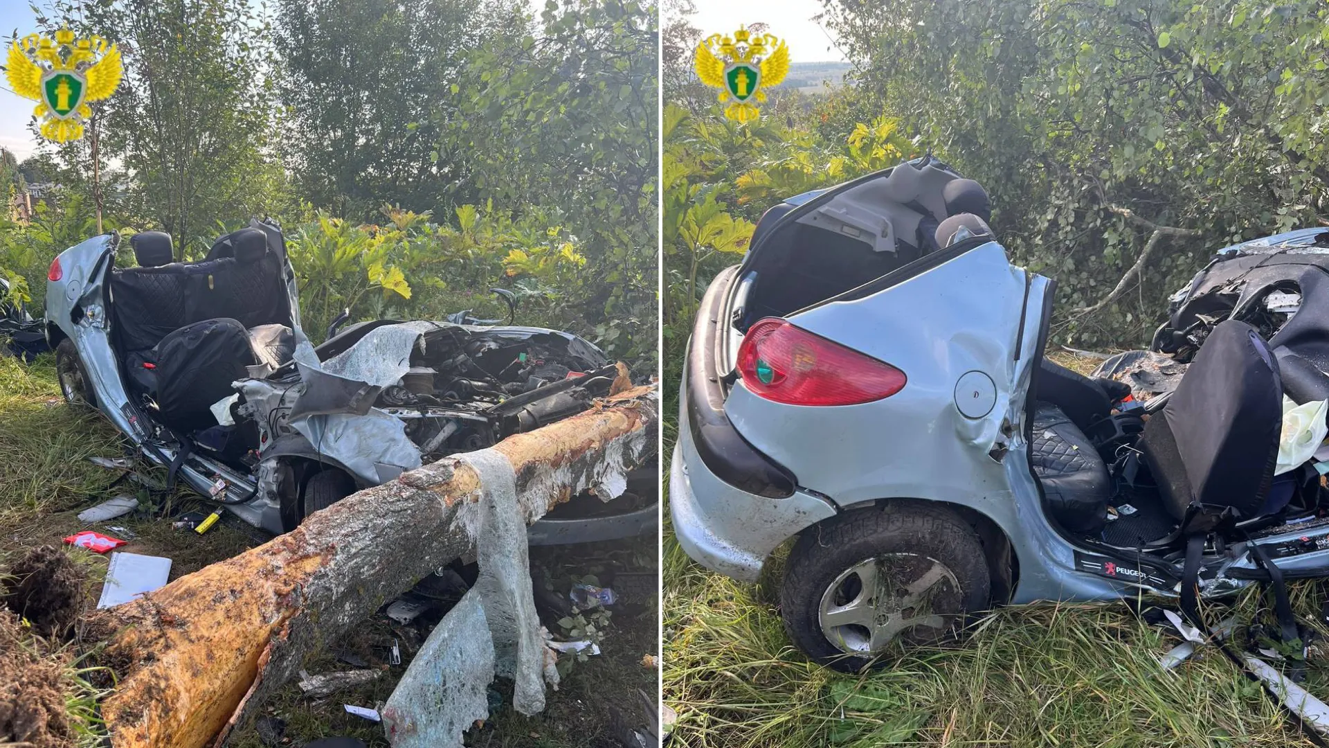 Машина врезалась в дерево в Новой Москве, погибли 3 человека