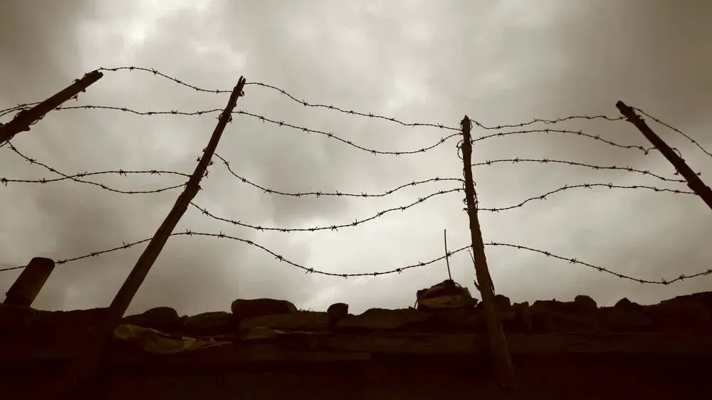 В Ленобласти обнаружили массовое захоронение узников концлагеря 