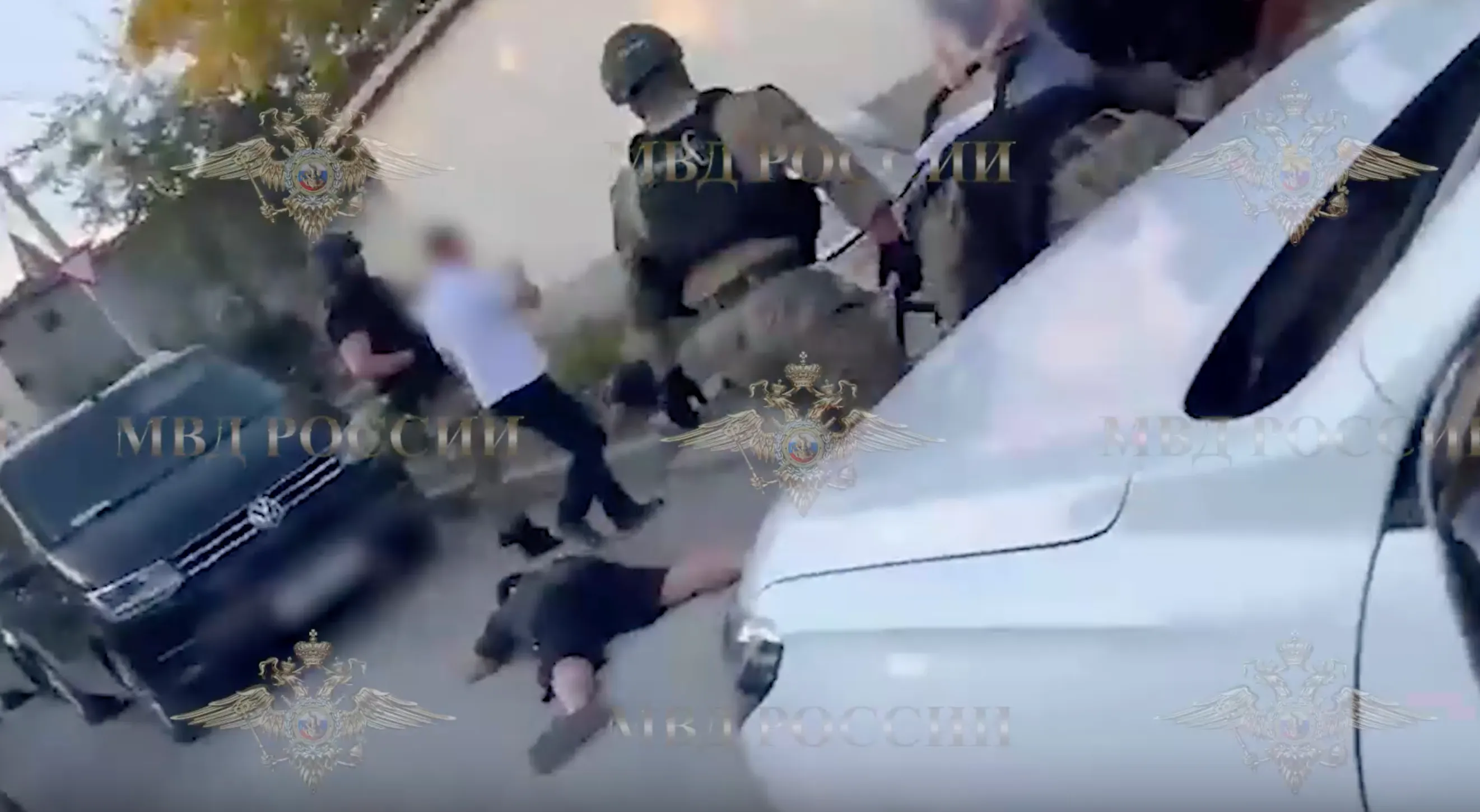 Опубликовано видео задержания подозреваемых в зверском избиении боксёра Дмитрия Двали