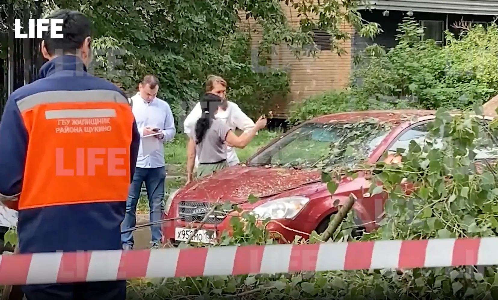 Дерево придавило мужчину в машине во время грозы в Москве