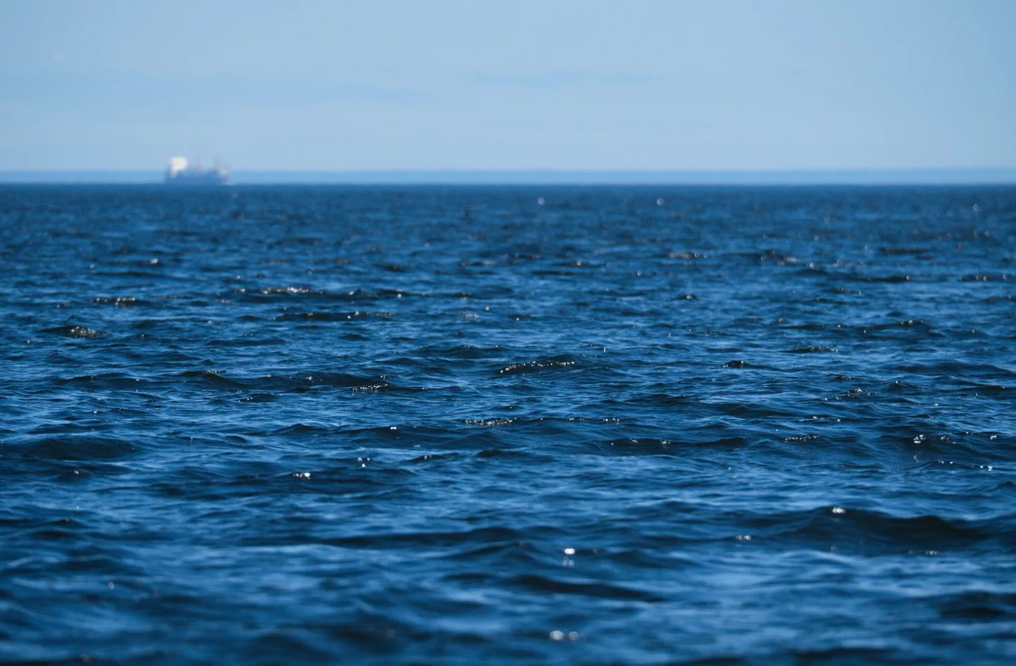 В Геленджике мужчину на сапборде унесло в открытое море, его ищут