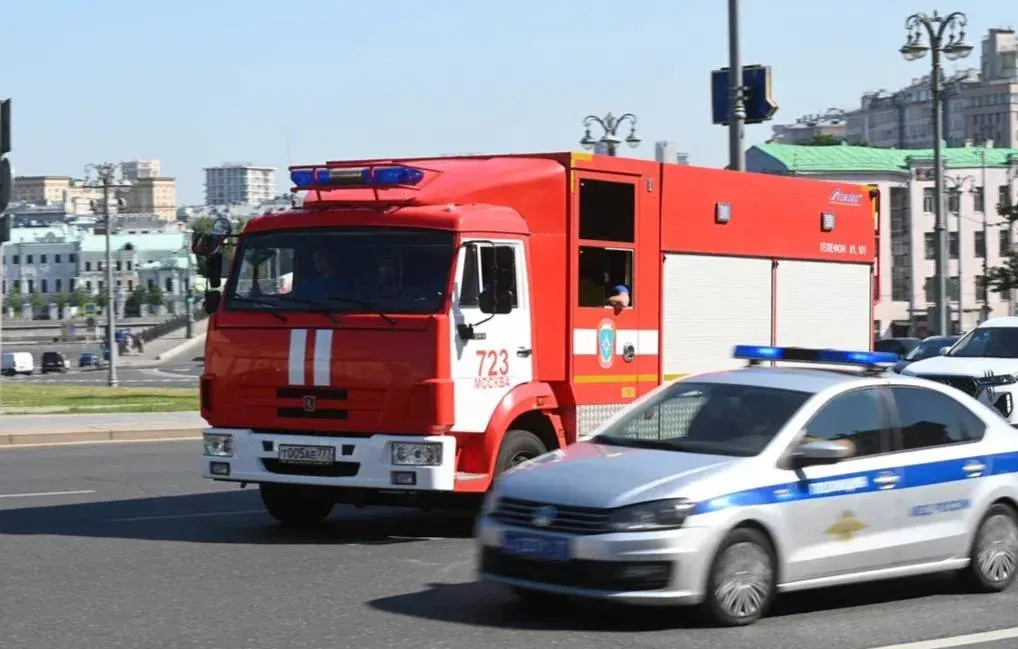 В Волгоградской области загорелись трава на площади 30 гектаров и лес