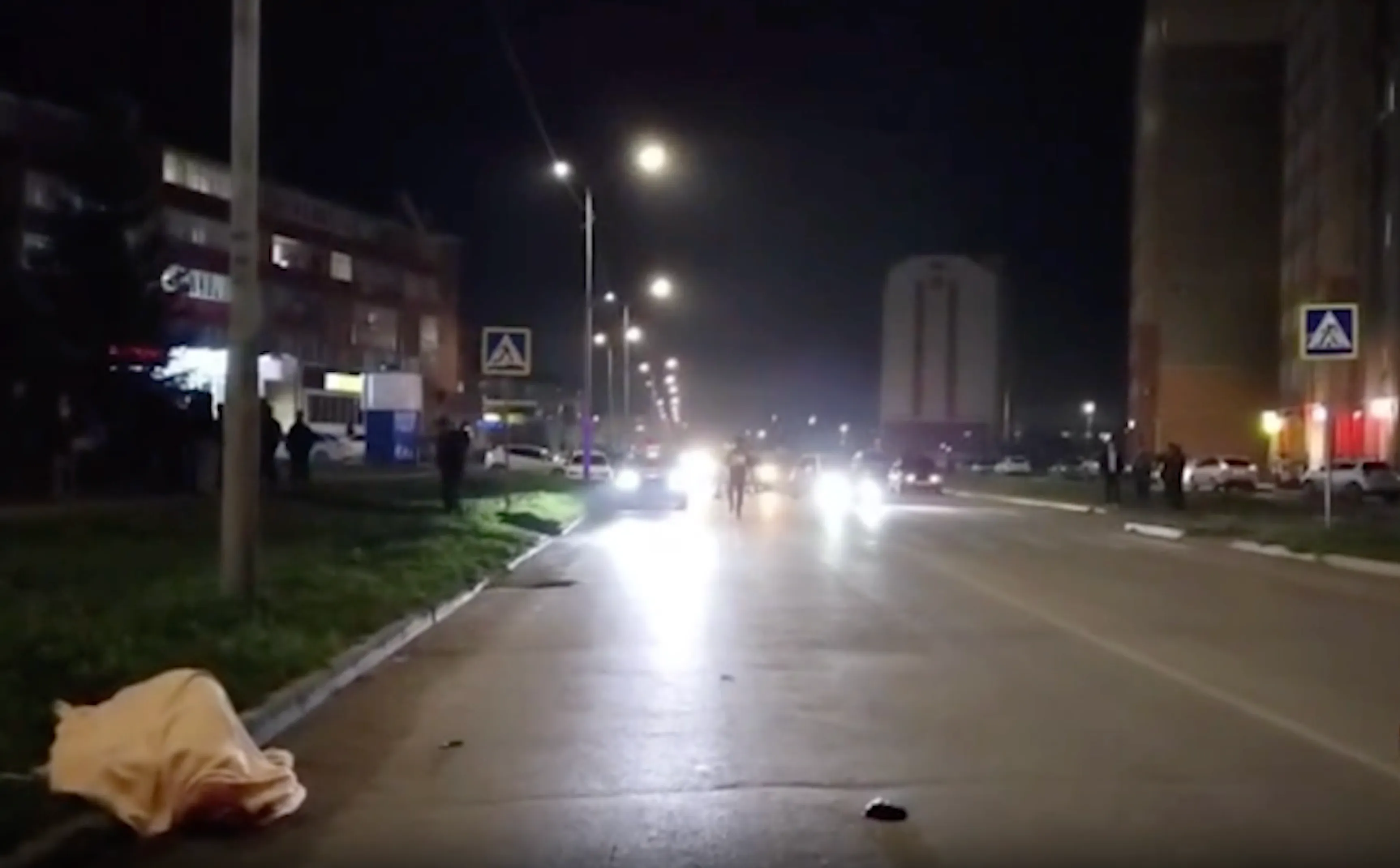 Мать с пятилетней дочкой попали под колёса лихача на «зебре» в Башкирии