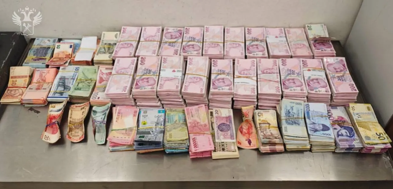 Контрабанду более 110 тыс. долларов пресекли таможенники в Шереметьево