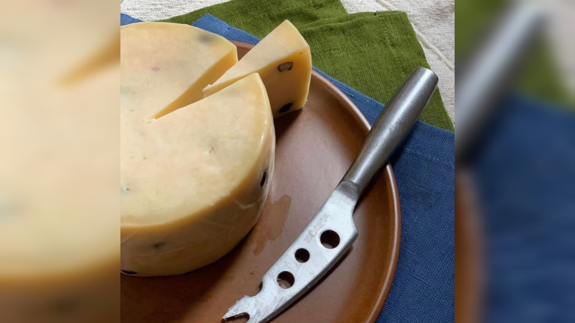 Сыр с жареными муравьями привёл вкусовые сосочки бразильских гурманов в бешеный восторг