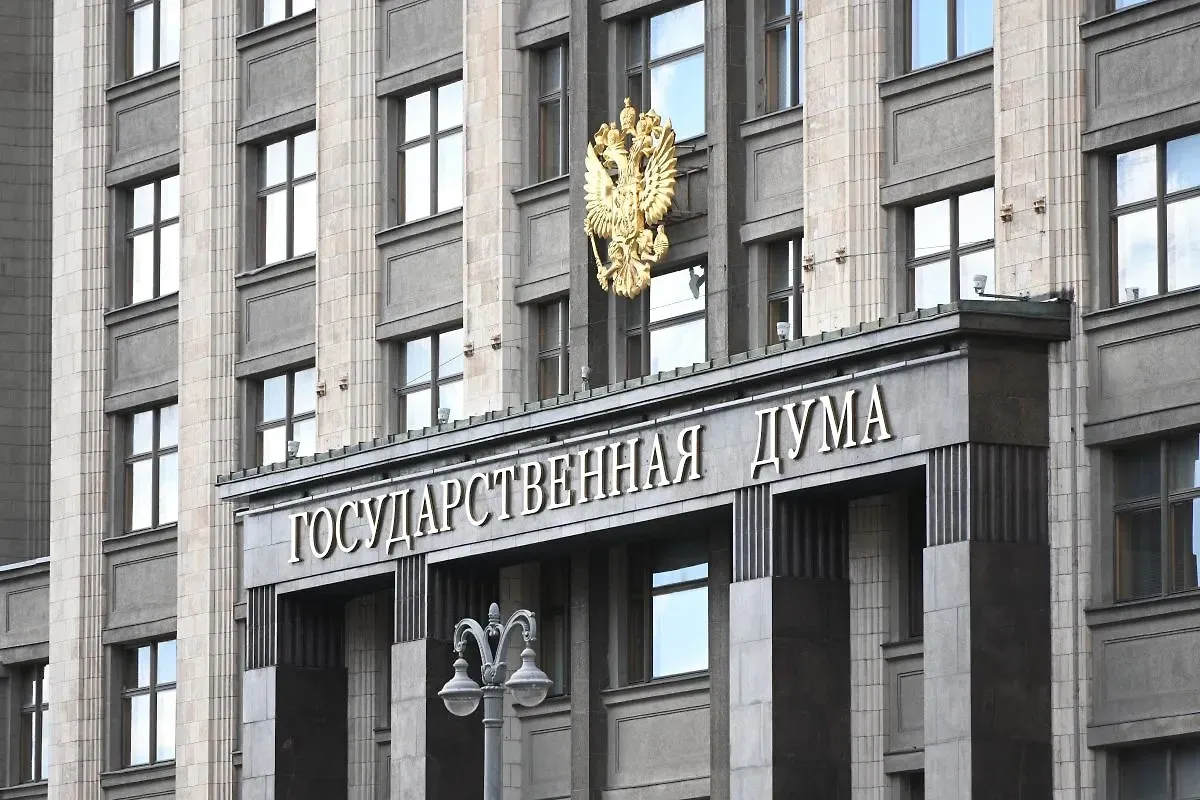 В ГД заявили, что немцы с французами «дерутся» за возможность переехать в Россию