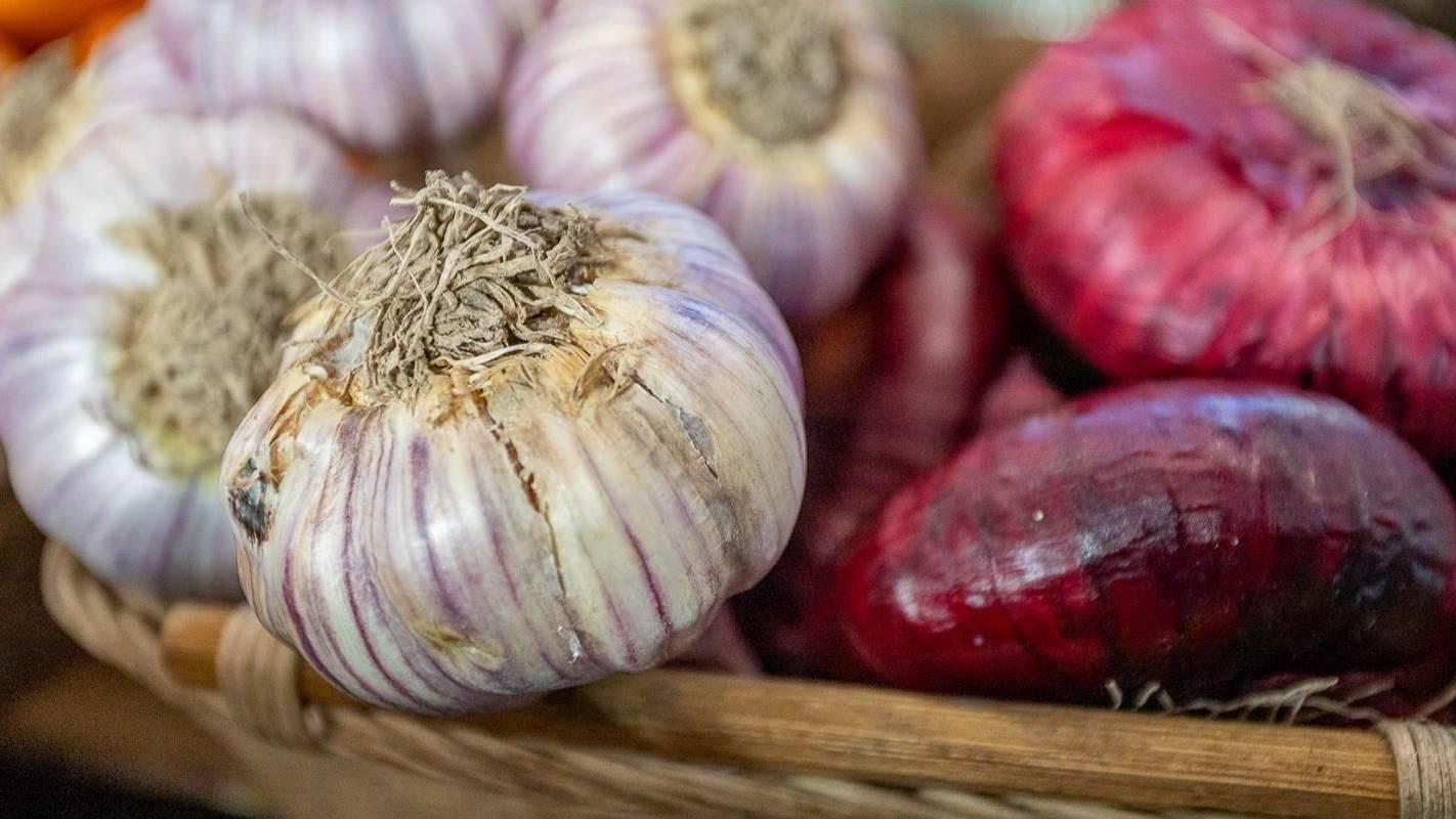 Мёд, лук и редька: какие продукты с московских ярмарок выходного дня помогут защититься от простуды