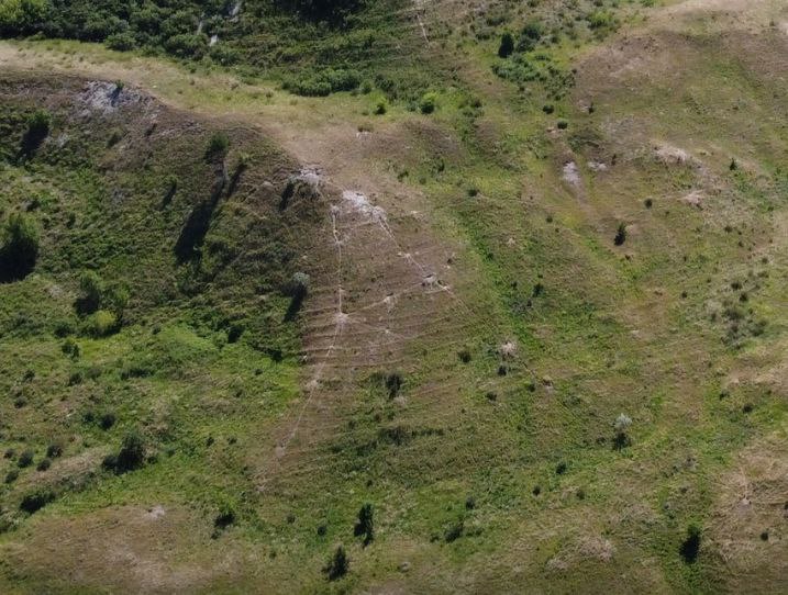 Сурки вытоптали «созвездие Лисы» в Сенгилеевских горах 