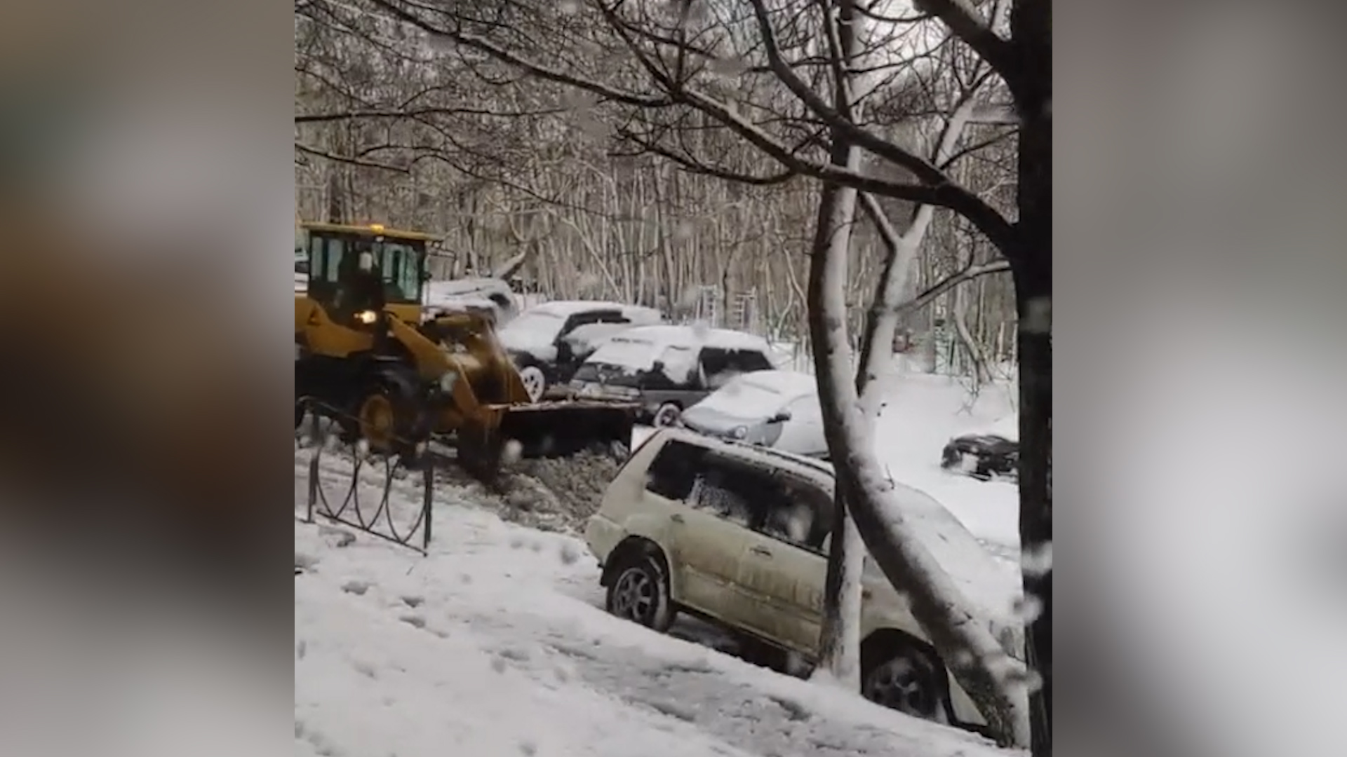 На Камчатке мощный циклон принёс штормовой ветер и сильные снегопады