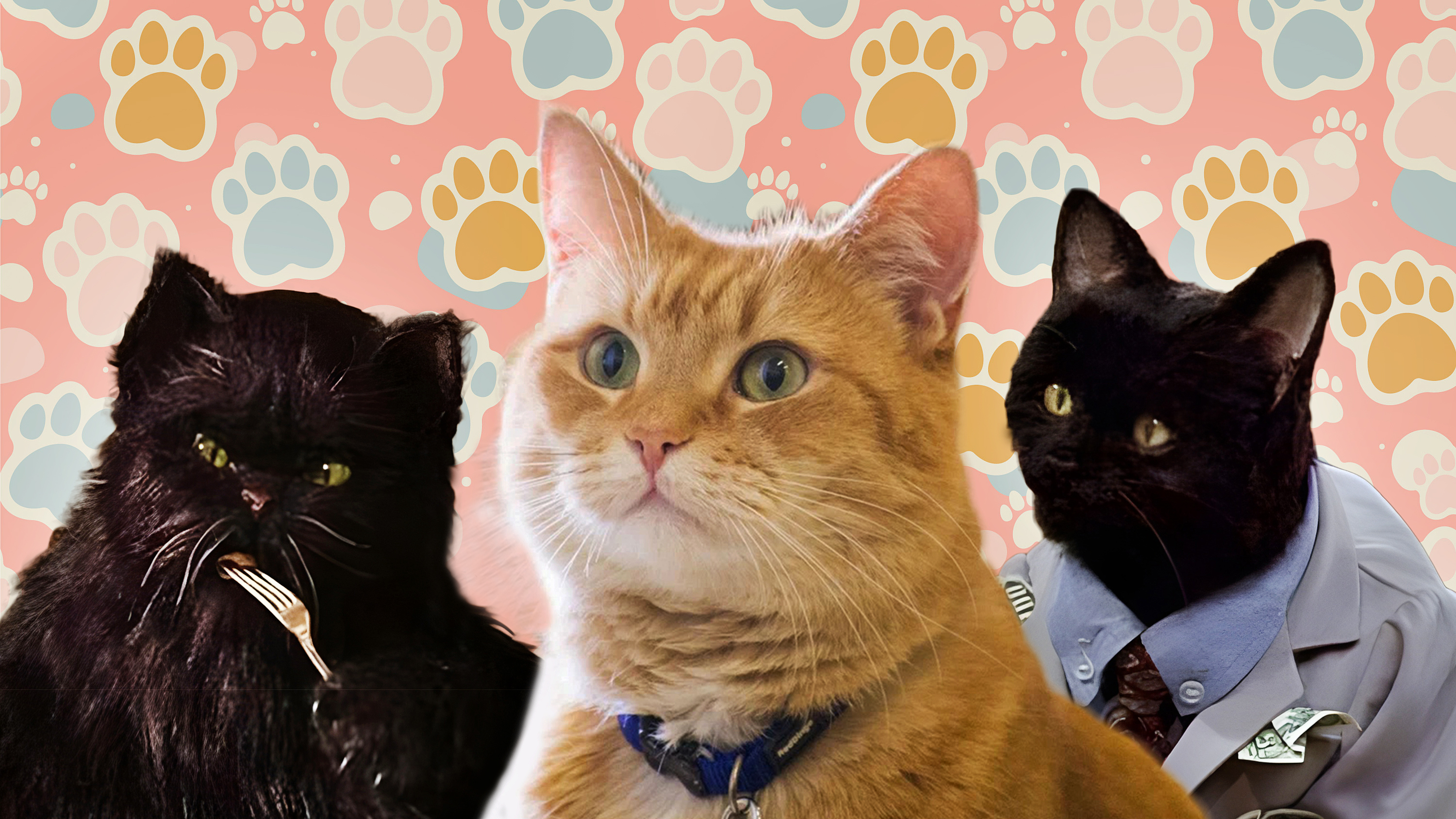 Тест для кошатников: Угадайте 8 фильмов по кадру с кошкой: собачники сдадутся на первом!