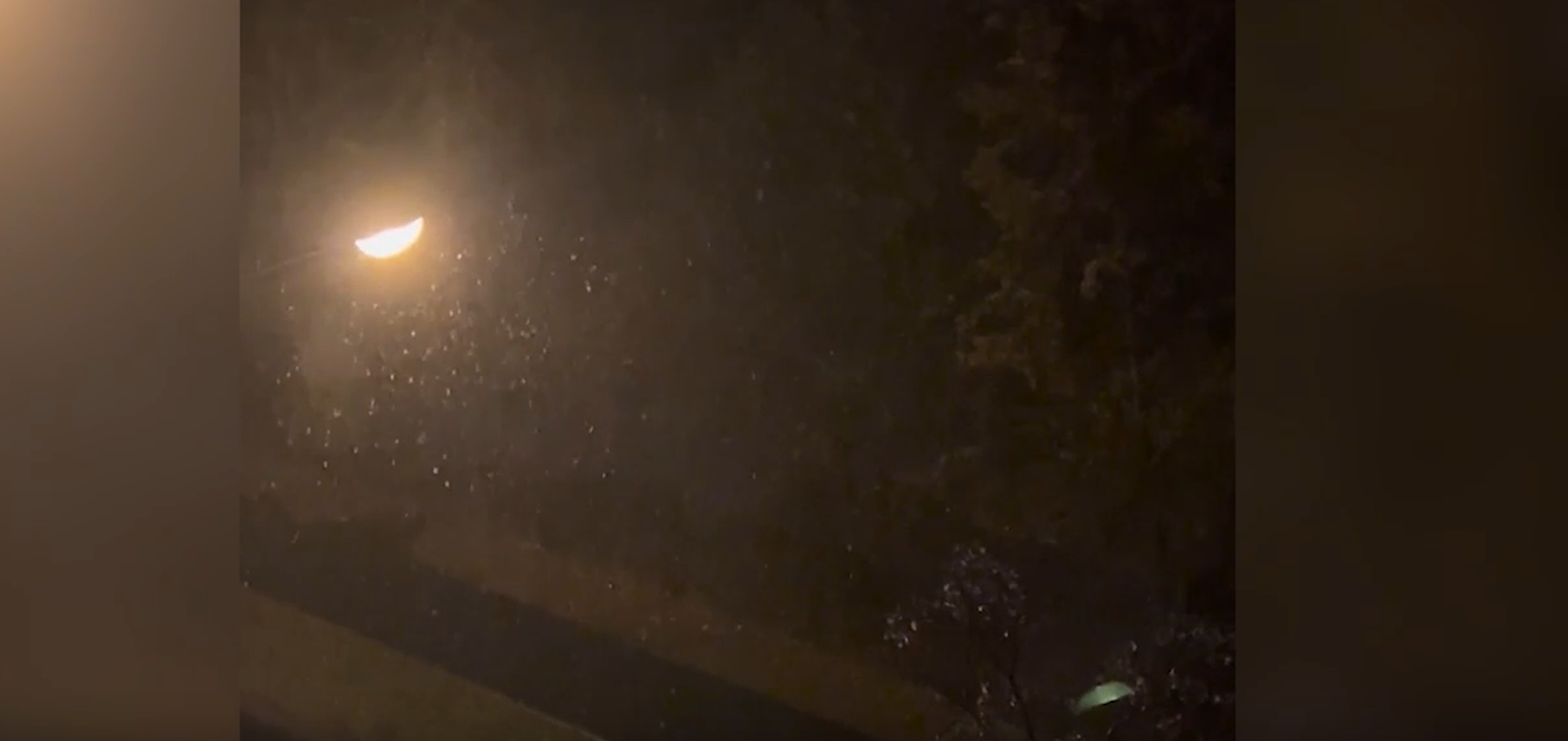 В Москве и Подмосковье ночью 15 ноября выпал первый снег