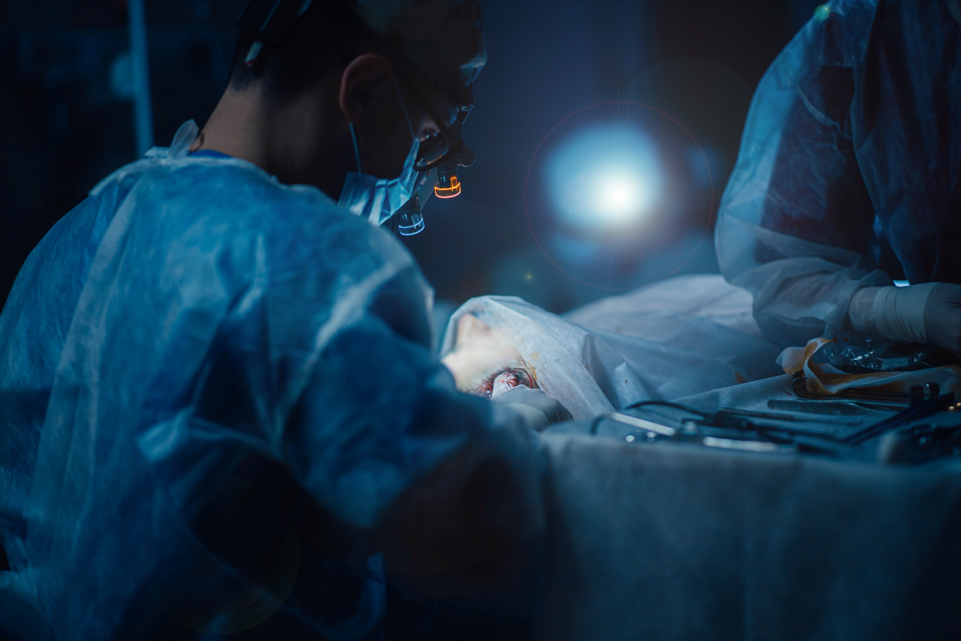 Стало известно, зачем человеку селезёнка, если можно жить без неё