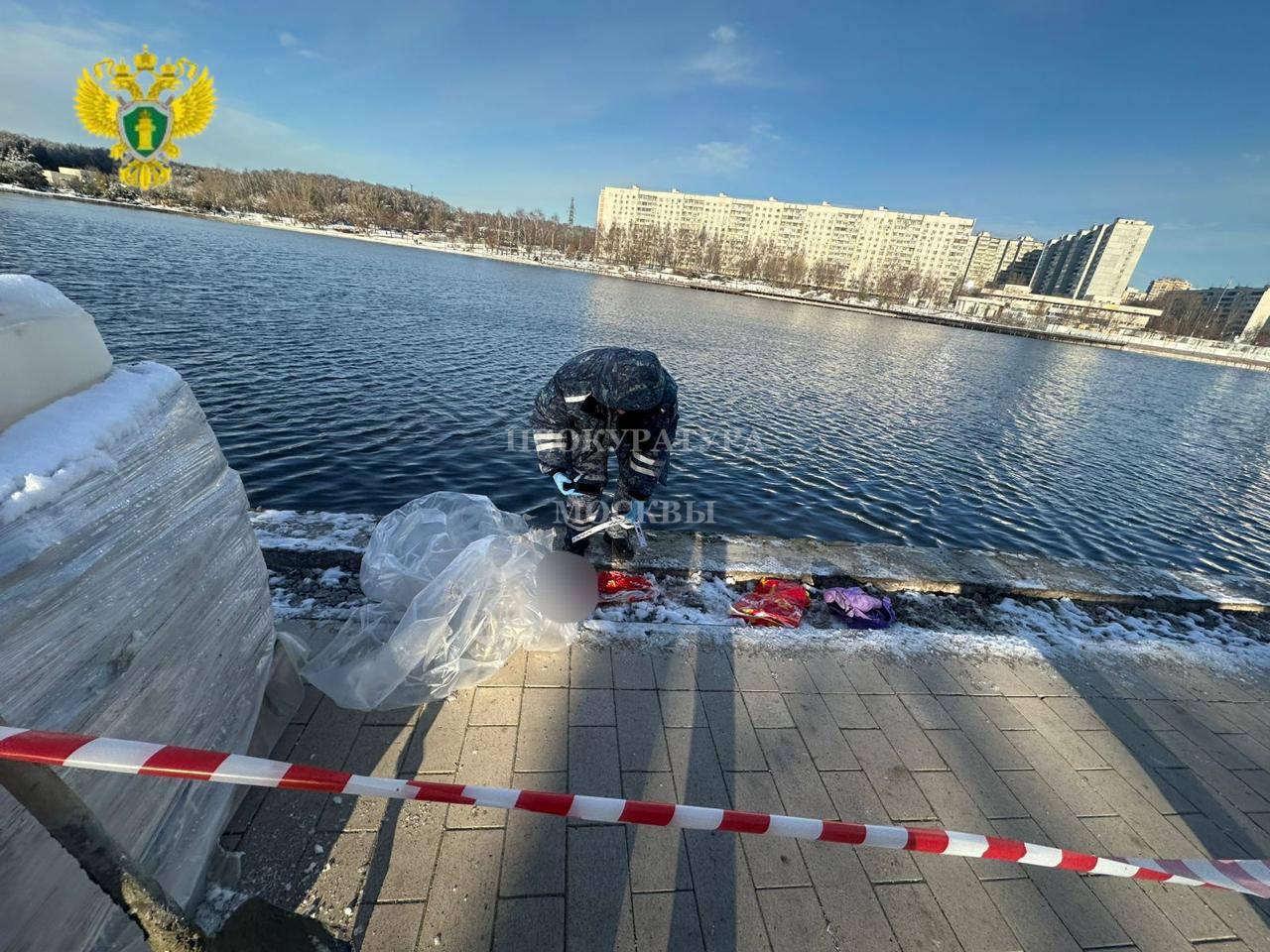 Бабушка обезглавленного в Балашихе ребёнка не верит, что его могла убить дочь
