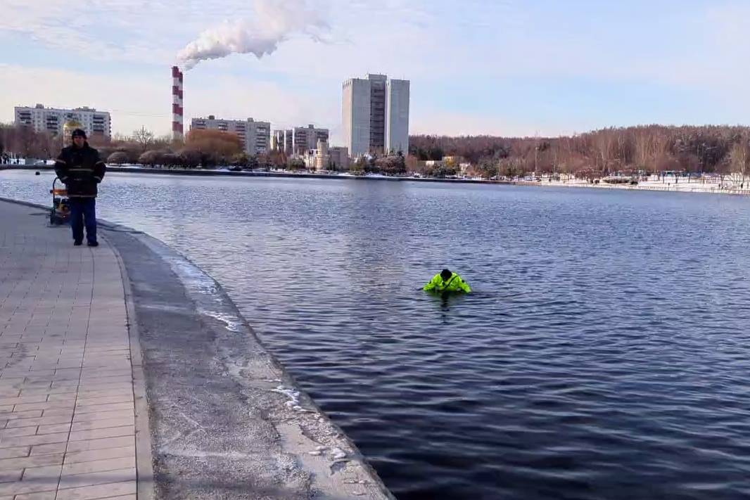 «Люди в шоке»: Очевидец рассказал об обнаружении головы ребёнка в Гольяновском пруду