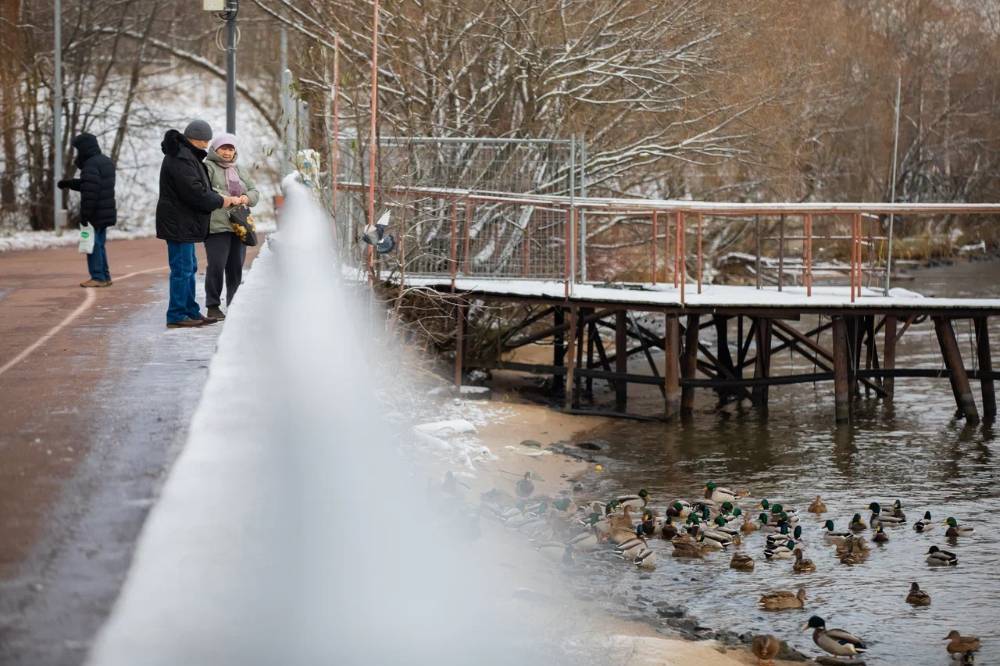 В воскресенье жителей Москвы и Подмосковья ожидают облачность и гололедица