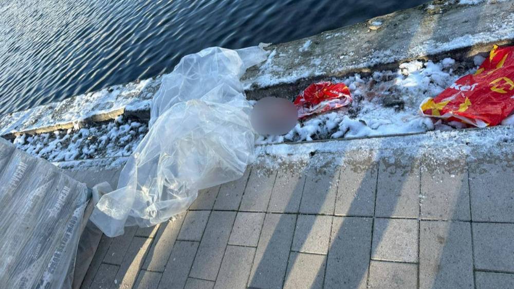 Ребёнка, часть тела которого нашли в пруду Москвы, из дома увёл сожитель матери