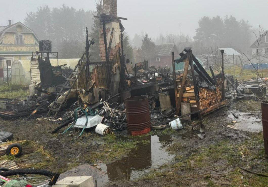 Женщина вместе с двумя детьми погибла на пожаре в частном доме в Ленобласти