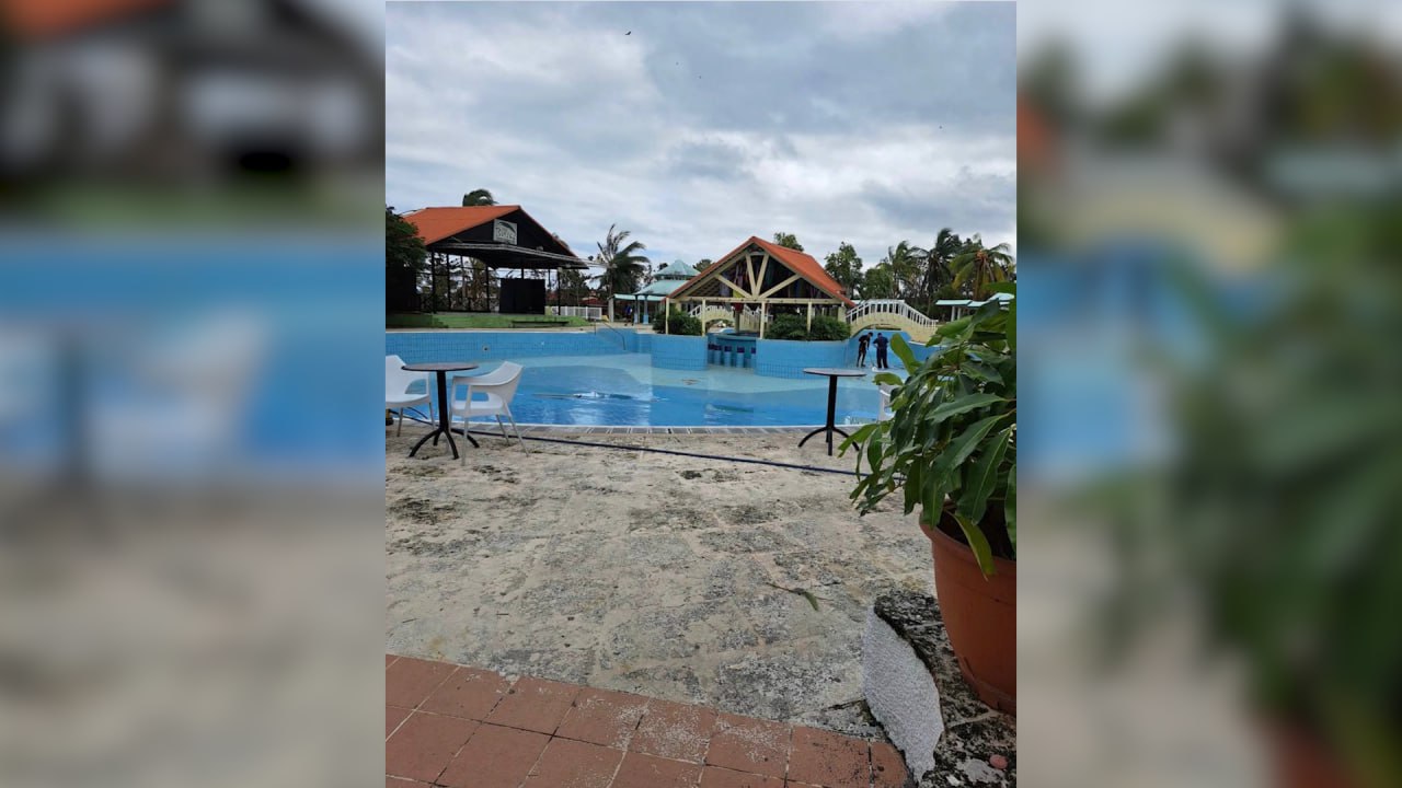 «Зато там, где хотели»: Россияне сами попросили заселить их в полуразрушенный ураганом отель на Кубе