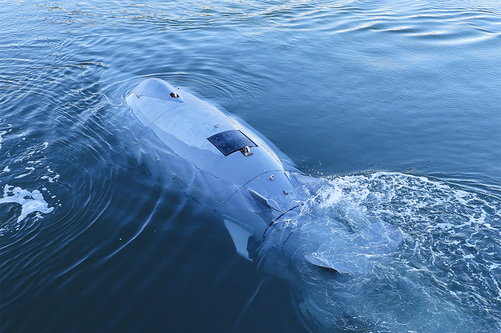 В Германии испытали новейший подводный дрон-акулу для выслеживания диверсантов