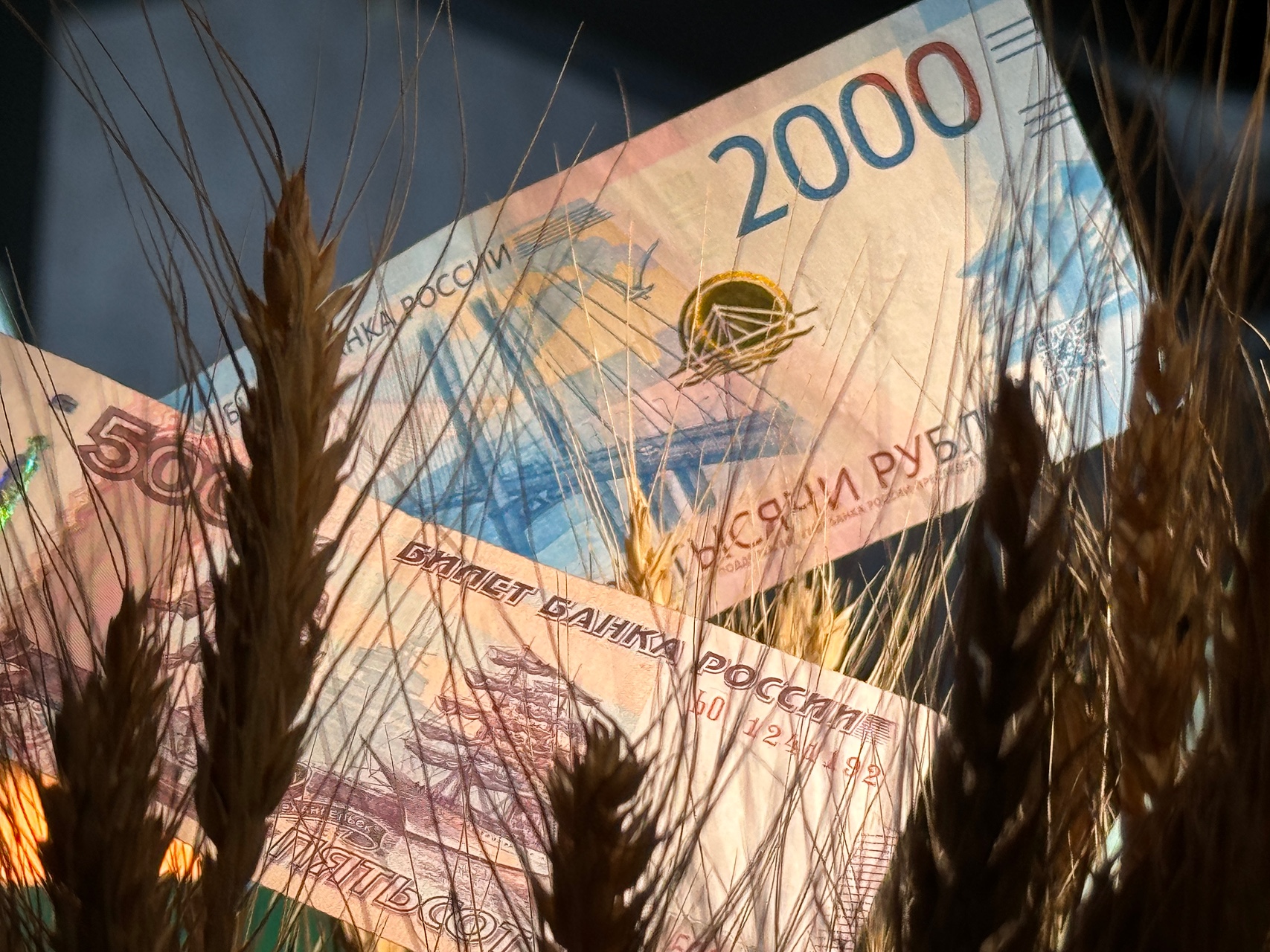 Совфед одобрил закон о повышении МРОТ с 2026 года