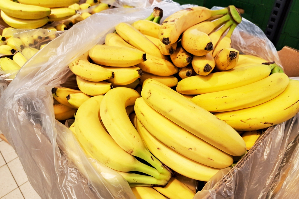 Никарагуа сможет поставлять в Донецк и Севастополь бананы и текилу