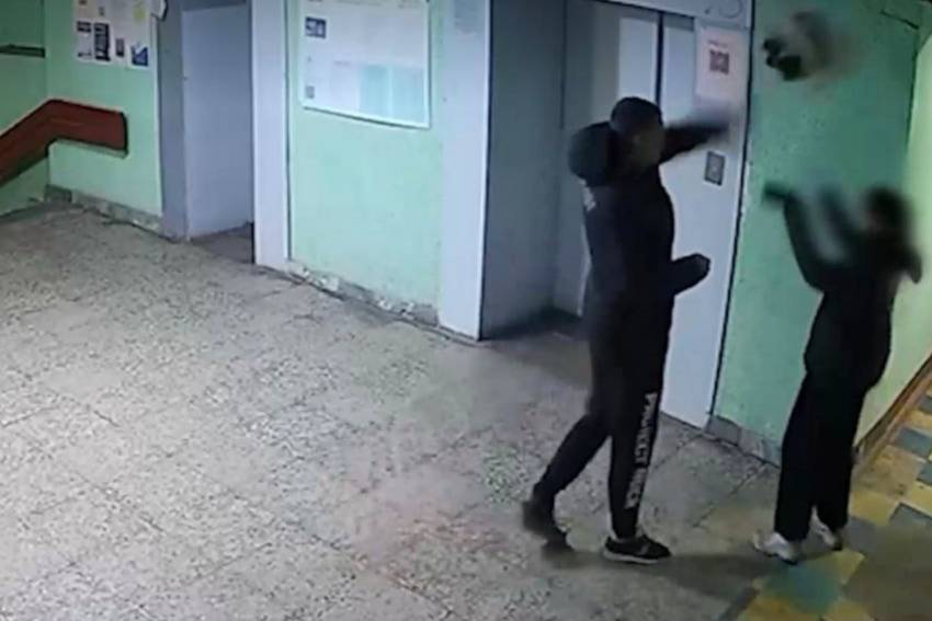 Петербуржцу, швырнувшему маленькую собаку об стену, дали 15 суток ареста