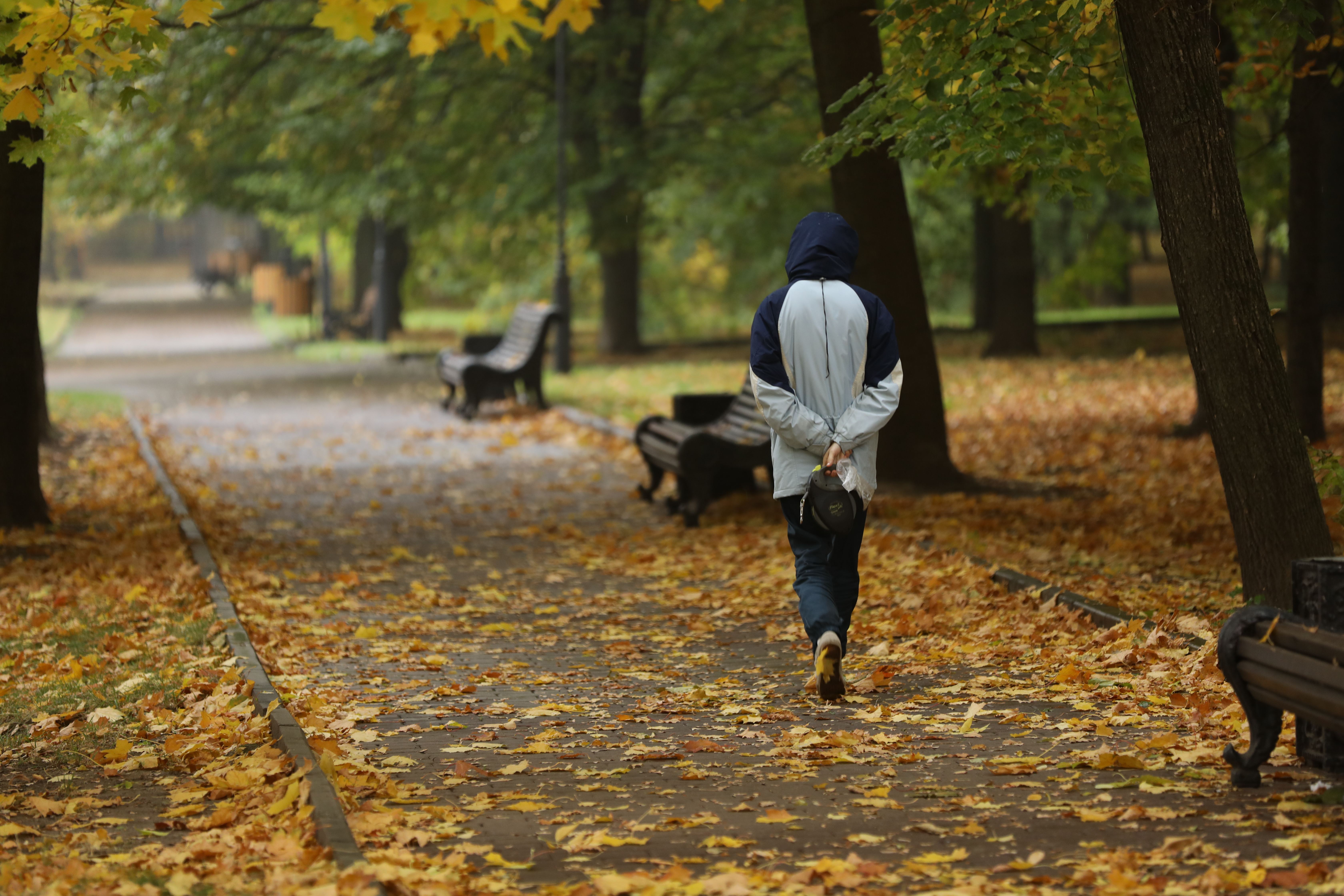 Рост заболеваемости ВИЧ отмечен в нескольких регионах России, заражённых – сотни