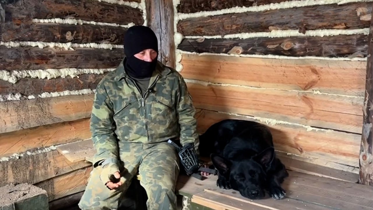 Хвостатый детектор: Как боевой пёс Мрак Антонович распознаёт дроны ВСУ и спасает бойцов СВО