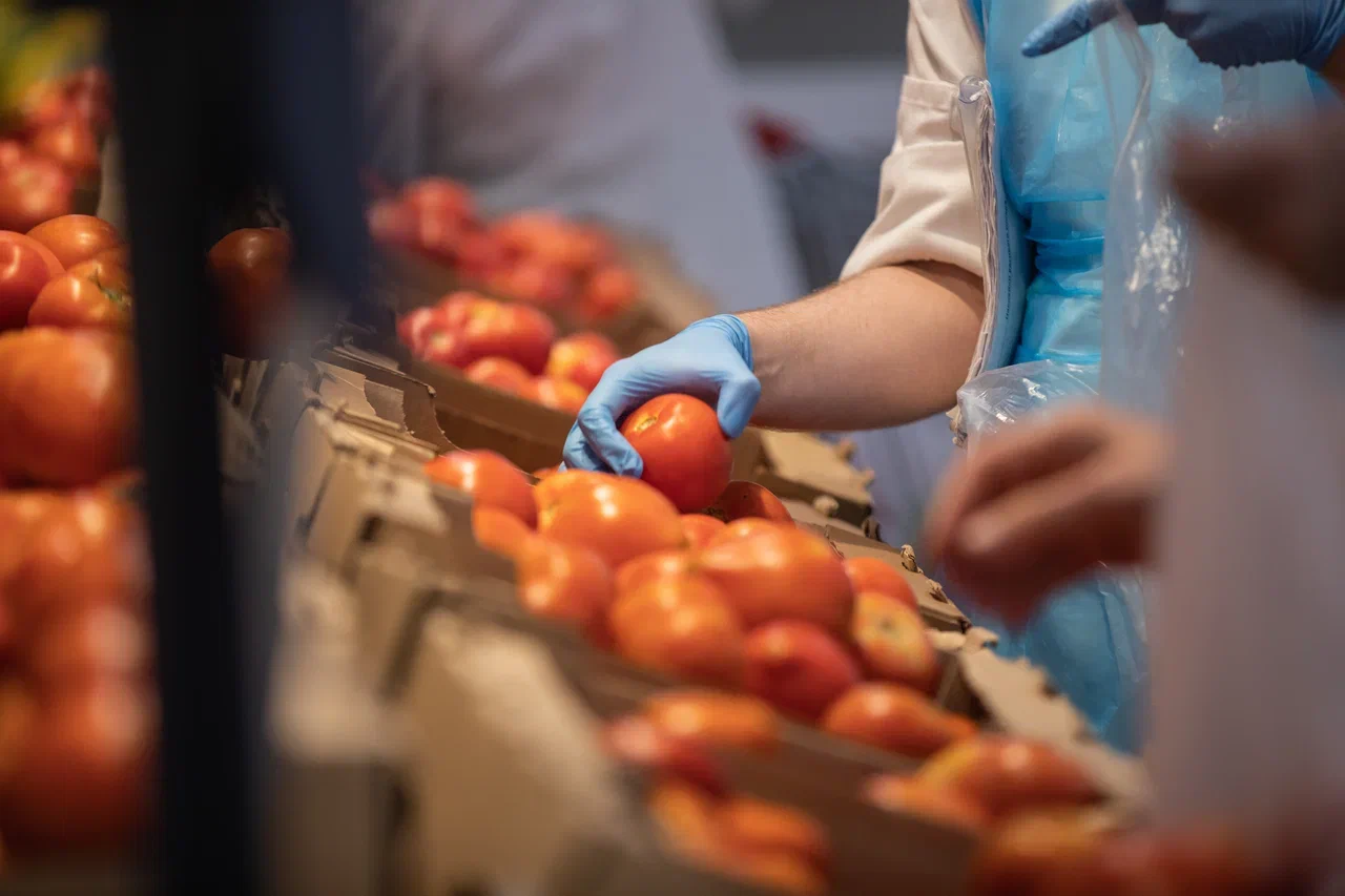 Доля астраханской томатной пасты на российском рынке достигнет 70% к 2030 году