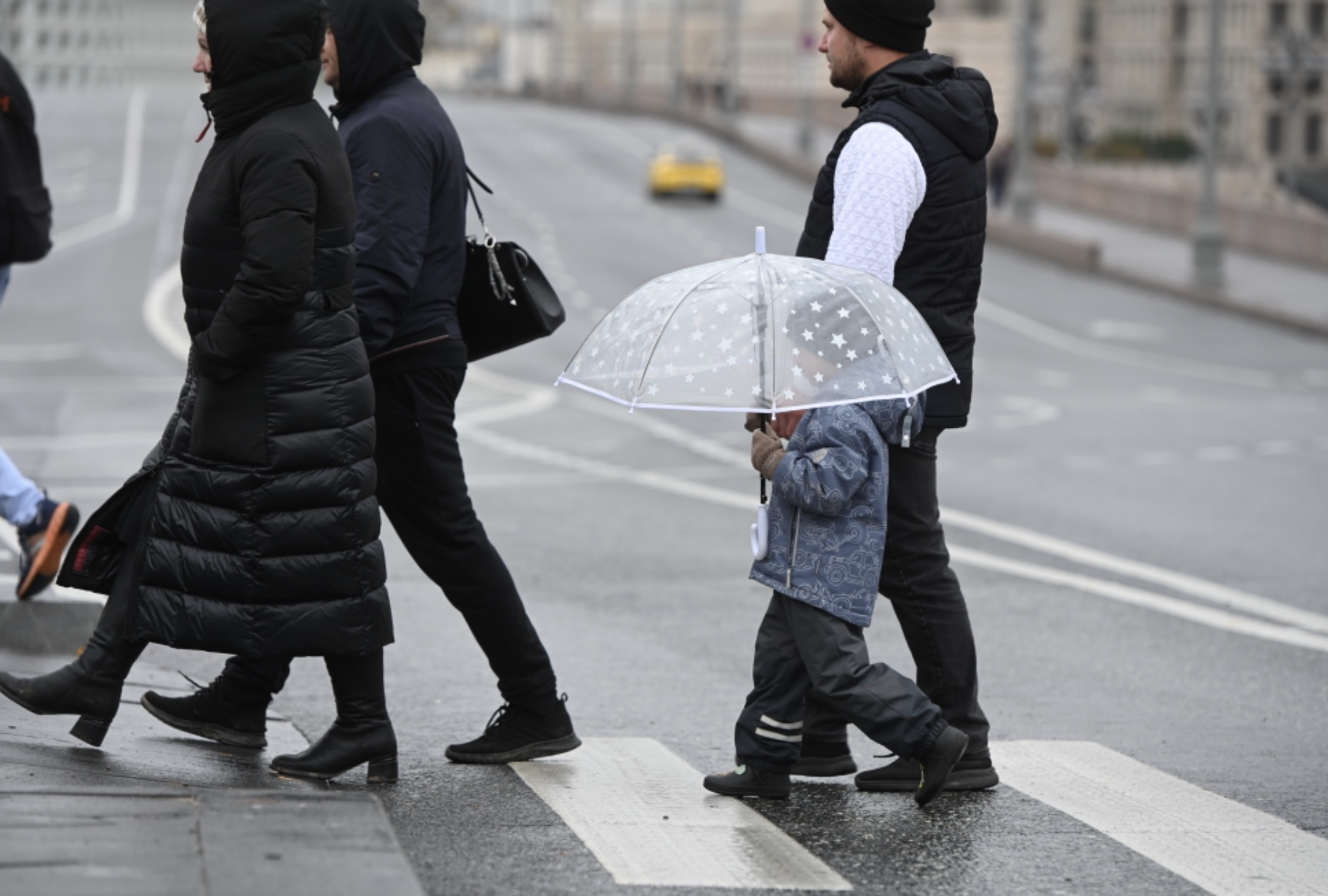 Доля славян в Москве может сократиться до 20% к 2045 году