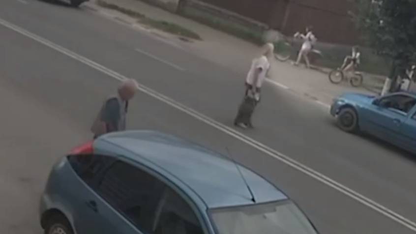 Владимирскому пенсионеру светит до 15 лет тюрьмы за справление нужды в кустах