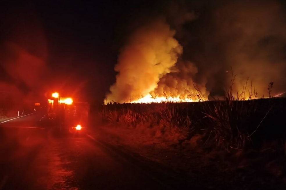 Мощный пожар вспыхнул в нацпарке в Новой Зеландии, где снимали «Властелина колец»